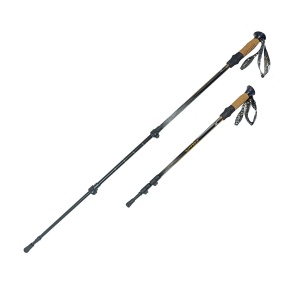 Заказать Палки для скандинавской ходьбы RGX TFG-107 в Спорткомплекте с доставкой и недорого! Заказать Палки для скандинавской ходьбы RGX TFG-107 в Спорткомплекте с доставкой и недорого!