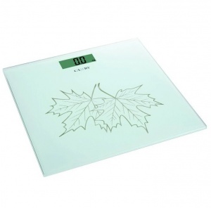 Заказать Весы напольные Camry EB 9370-S671 в Спорткомплекте с доставкой и недорого! Заказать Весы напольные Camry EB 9370-S671 в Спорткомплекте с доставкой и недорого!