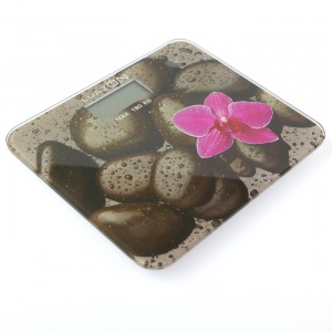 Заказать Весы напольные LuazON LVE-018 в Спорткомплекте с доставкой и недорого! Заказать Весы напольные LuazON LVE-018 в Спорткомплекте с доставкой и недорого!