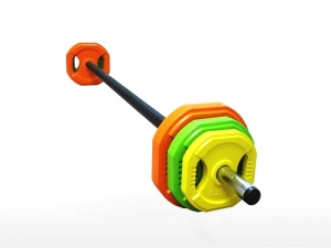 Заказать Штанга для аэробики бодипамп Profi-Fit 20090 20кг в Спорткомплекте с доставкой и недорого!