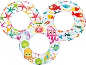 Заказать Круг Intex 59230 51см в Спорткомплекте с доставкой и недорого! Заказать Круг Intex 59230 51см в Спорткомплекте с доставкой и недорого!