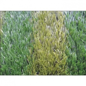 Заказать Искусственная трава Avanturf Soccer ТОР MS-X в Спорткомплекте с доставкой и недорого! Заказать Искусственная трава Avanturf Soccer ТОР MS-X в Спорткомплекте с доставкой и недорого!