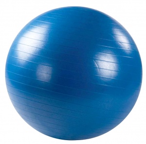 Заказать Мяч гимнастический Stingrey YW-30/65HP 65см в Спорткомплекте с доставкой и недорого! Заказать Мяч гимнастический Stingrey YW-30/65HP 65см в Спорткомплекте с доставкой и недорого!