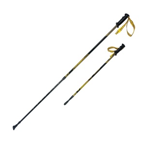 Заказать Палки для скандинавской ходьбы RGX NWS-120 в Спорткомплекте с доставкой и недорого! Заказать Палки для скандинавской ходьбы RGX NWS-120 в Спорткомплекте с доставкой и недорого!