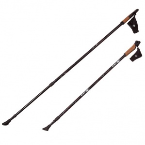 Заказать Палки для скандинавской ходьбы RGX NWS-19 в Спорткомплекте с доставкой и недорого! Заказать Палки для скандинавской ходьбы RGX NWS-19 в Спорткомплекте с доставкой и недорого!