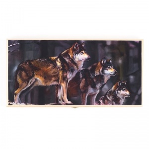 Заказать Нарды средние+Шашки Take It Easy Волчья стая в Спорткомплекте с доставкой и недорого! Заказать Нарды средние+Шашки Take It Easy Волчья стая в Спорткомплекте с доставкой и недорого!