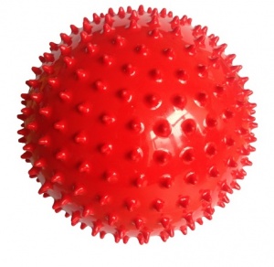 Заказать Мяч массажный 23см Sprinter в Спорткомплекте с доставкой и недорого! Заказать Мяч массажный 23см Sprinter в Спорткомплекте с доставкой и недорого!