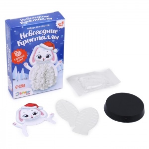 Заказать Набор для опытов ЭВРИКИ Новогодние кристаллы 7663746 в Спорткомплекте с доставкой и недорого! Заказать Набор для опытов ЭВРИКИ Новогодние кристаллы 7663746 в Спорткомплекте с доставкой и недорого!
