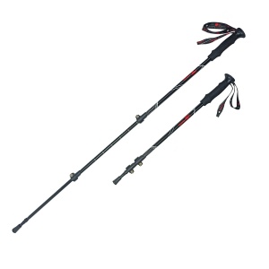 Заказать Палки для скандинавской ходьбы RGX TFG-105 в Спорткомплекте с доставкой и недорого! Заказать Палки для скандинавской ходьбы RGX TFG-105 в Спорткомплекте с доставкой и недорого!