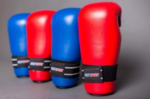 Заказать Перчатки защитные для тхэквондо PROFSPORT ITF PS1566 в Спорткомплекте с доставкой и недорого! Заказать Перчатки защитные для тхэквондо PROFSPORT ITF PS1566 в Спорткомплекте с доставкой и недорого!