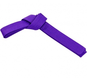 Заказать Пояс для кимоно Эквоис фиолетовый в Спорткомплекте с доставкой и недорого! Заказать Пояс для кимоно Эквоис фиолетовый в Спорткомплекте с доставкой и недорого!