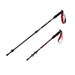 Заказать Палки для скандинавской ходьбы RGX TFG-05 в Спорткомплекте с доставкой и недорого! Заказать Палки для скандинавской ходьбы RGX TFG-05 в Спорткомплекте с доставкой и недорого!