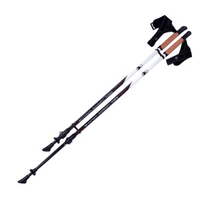 Заказать Палки для скандинавской ходьбы RGX NWS-119 в Спорткомплекте с доставкой и недорого! Заказать Палки для скандинавской ходьбы RGX NWS-119 в Спорткомплекте с доставкой и недорого!