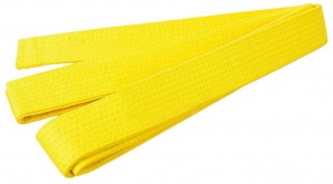 Заказать Пояс для кимоно Эквоис желтый в Спорткомплекте с доставкой и недорого! Заказать Пояс для кимоно Эквоис желтый в Спорткомплекте с доставкой и недорого!