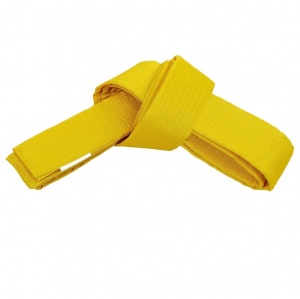 Заказать Пояс для кимоно Eskhata Желтый в Спорткомплекте с доставкой и недорого! Заказать Пояс для кимоно Eskhata Желтый в Спорткомплекте с доставкой и недорого!