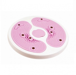 Заказать Диск здоровья Stingrey HKWT102 в Спорткомплекте с доставкой и недорого!