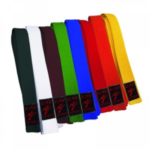 Заказать Пояс для кимоно РЭЙ-СПОРТ П11 в Спорткомплекте с доставкой и недорого! Заказать Пояс для кимоно РЭЙ-СПОРТ П11 в Спорткомплекте с доставкой и недорого!