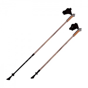 Заказать Палки для скандинавской ходьбы RGX NWS-03A в Спорткомплекте с доставкой и недорого! Заказать Палки для скандинавской ходьбы RGX NWS-03A в Спорткомплекте с доставкой и недорого!