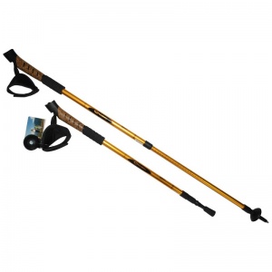 Заказать Палки для скандинавской ходьбы Stingrey TAP3-03O в Спорткомплекте с доставкой и недорого! Заказать Палки для скандинавской ходьбы Stingrey TAP3-03O в Спорткомплекте с доставкой и недорого!