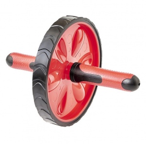 Заказать Ролик для пресса Torres PL5012 одинарный в Спорткомплекте с доставкой и недорого! Заказать Ролик для пресса Torres PL5012 одинарный в Спорткомплекте с доставкой и недорого!