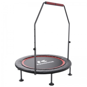 Батут DFC Kensone 40'' BSD-40-BLACK