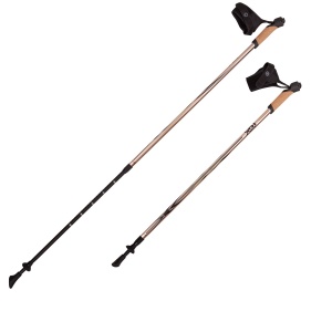 Заказать Палки для скандинавской ходьбы RGX NWS-103A в Спорткомплекте с доставкой и недорого! Заказать Палки для скандинавской ходьбы RGX NWS-103A в Спорткомплекте с доставкой и недорого!