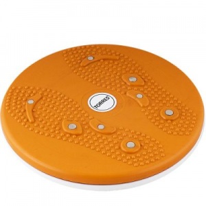 Заказать Диск здоровья Torres AL1010 в Спорткомплекте с доставкой и недорого!